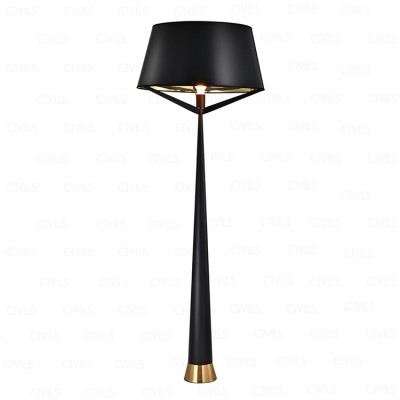 axis s71 floor lamp